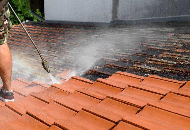 Local Pressure Washing Services in Flushing, MI