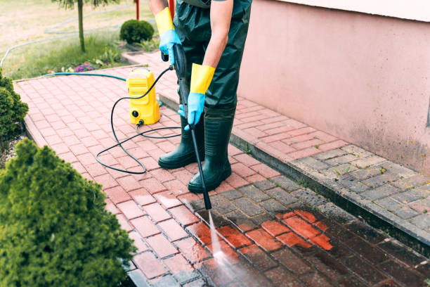 Best Residential Pressure Washing Services  in Flushing, MI