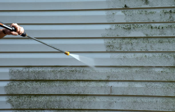 Best Pressure Washing Contractors  in Flushing, MI