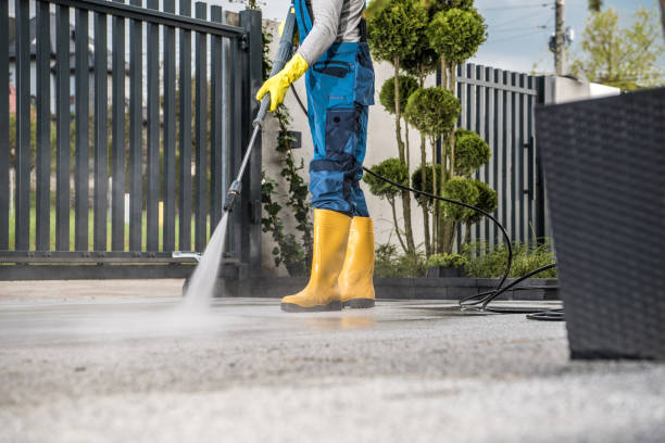 Best Affordable Pressure Washing  in Flushing, MI