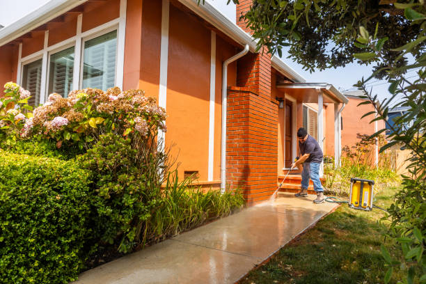 Best Affordable Power Washing  in Flushing, MI