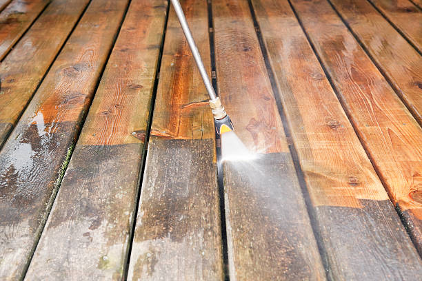 Best Roof Power Washing Services  in Flushing, MI