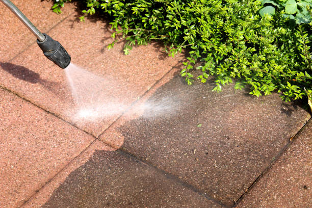 Best Best Pressure Washing Companies  in Flushing, MI